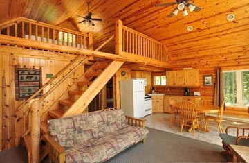 cabin 8