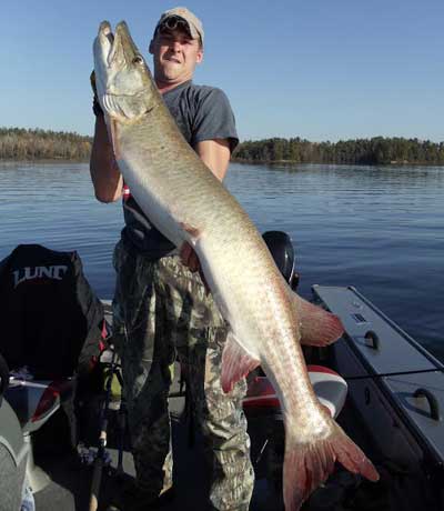 muskie